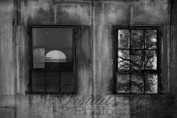 Disparate dreams