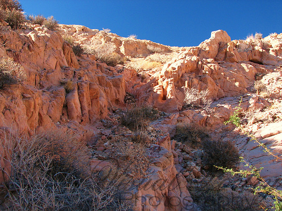 Rock Face