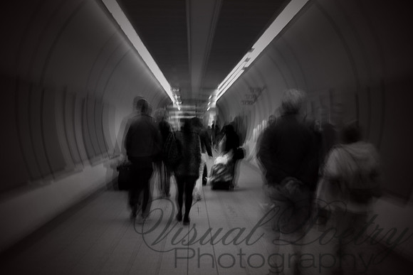 Into Oblivion