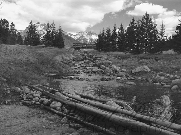 Bridges BW
