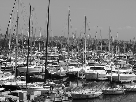 Regatta In Repose