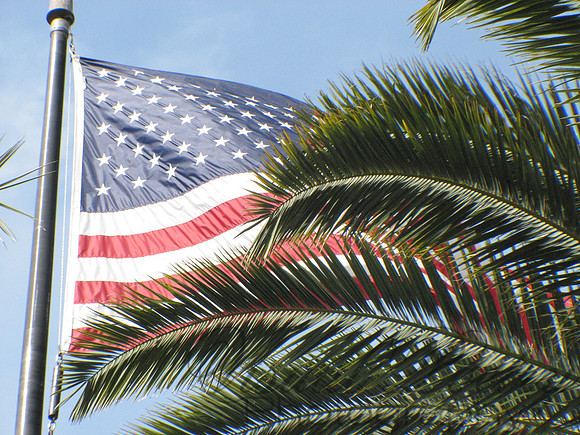 Palmerica
