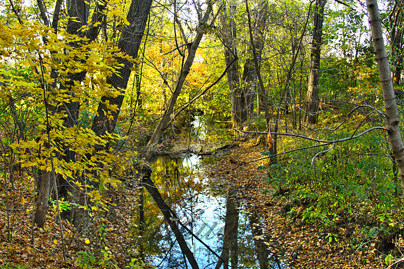 Autumn Creek