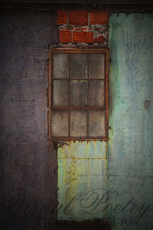 Textures Colors & Patterns