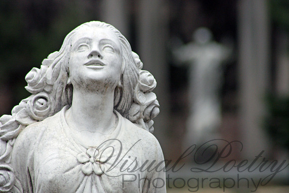 Looking To Home.jpg