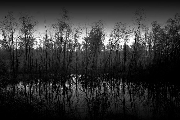 Comes the Dawn