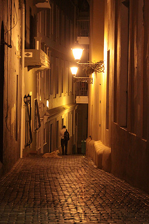 Dog Alley