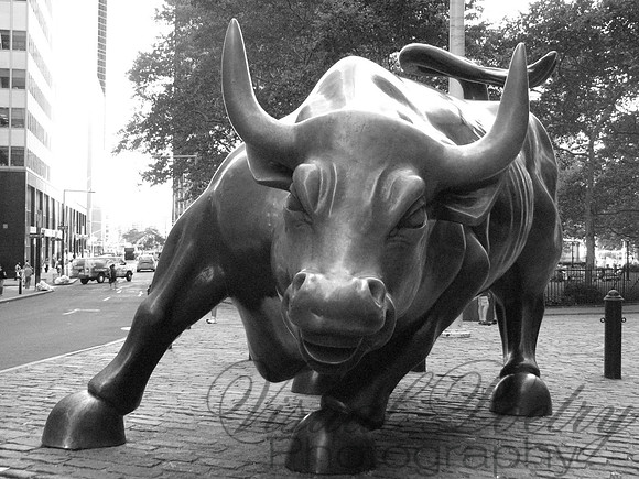 Bullish BW