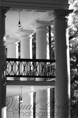 Plantation Afternoon